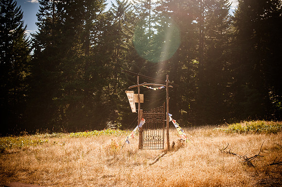 M&Cwedding-54