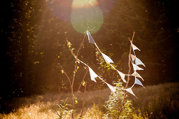 M&Cwedding-52