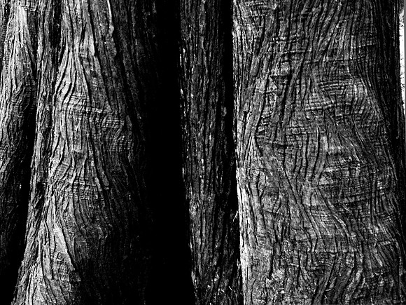 wood-1