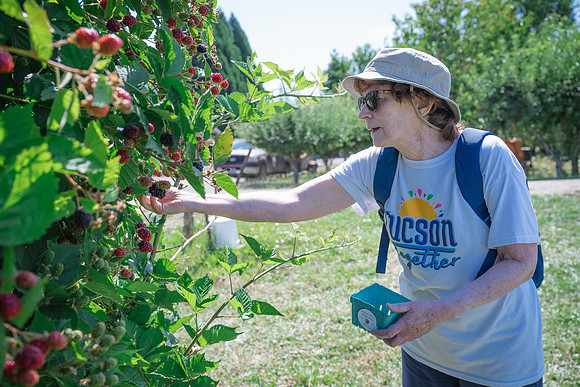 party-27