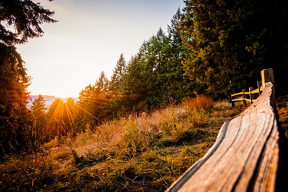 mt tabor