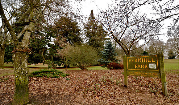 NE fernhill park