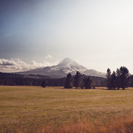 blog-1-5