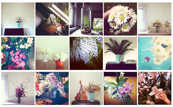 blog