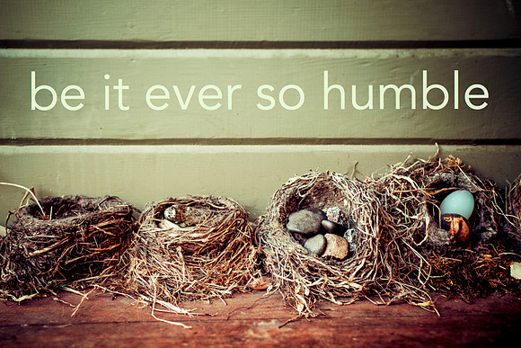 nest-1